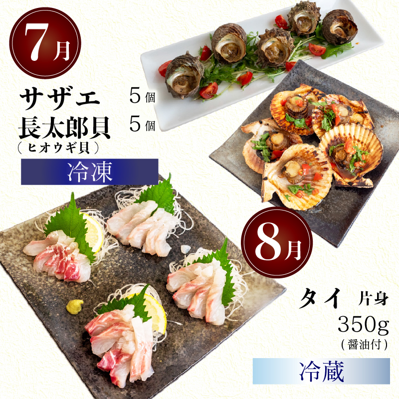 12ヶ月 定期便 旬 魚 刺身定期便 鮮魚