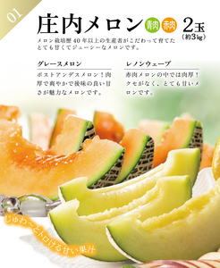 SE0209　【3回定期便】農家直送 フレッシュフルーツ定期便2024 (庄内メロン、青ぶどう、赤ぶどう)