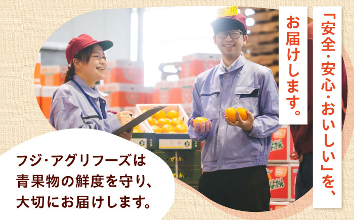 梅 七折小梅(生梅) 2kg 【5月中旬から6月下旬まで順次発送】 / 小梅 青梅 生梅 梅干し 梅干 梅酒 梅ジュース 梅シロップ 2kg 先行予約 / 愛媛県砥部町/株式会社フジ・アグリフーズ [