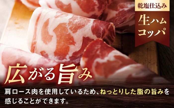 豚 和豚 もちぶた 国産 生ハム 熟成