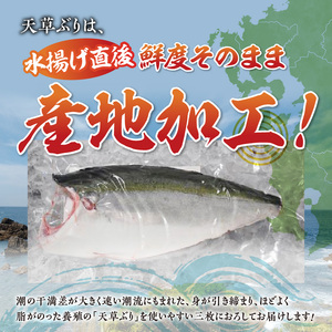 S042-005_活〆天草ぶり ブリフィレ 約1.5kg【先行予約】