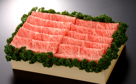 【お中元対象】＜木箱入＞上質なお肉を！佐賀牛ローススライス約500g 佐賀県/さが風土館季楽 [41AABE008]