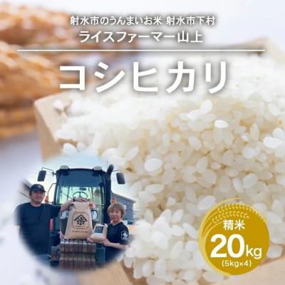 ふるさと納税 射水市 【農家直送】【射水の美味しいお米】R7年産コシヒカリ20kg(5kg×4 精米)