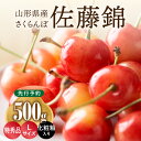 【ふるさと納税】《先行受付》さくらんぼ 佐藤錦 500g 特秀品 Lサイズ 化粧箱入【2025年6月中旬頃〜発送予定】【山形県産さくらんぼ】