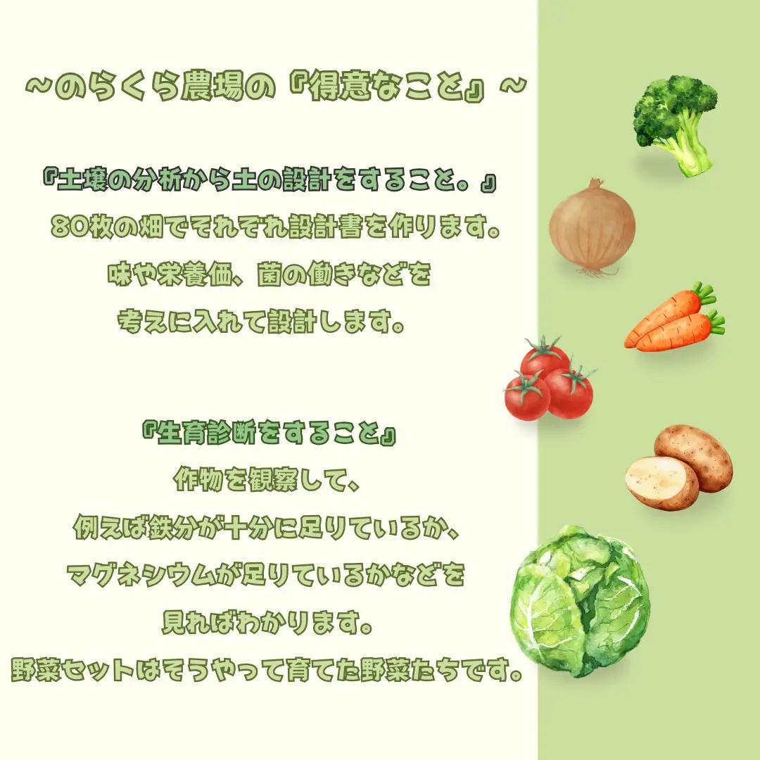 有機野菜ちいさな畑セット（Lサイズ　３～４人前）有機野菜［NK-102］