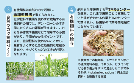 明治オーガニック牛乳 900ml【4本】【73001】