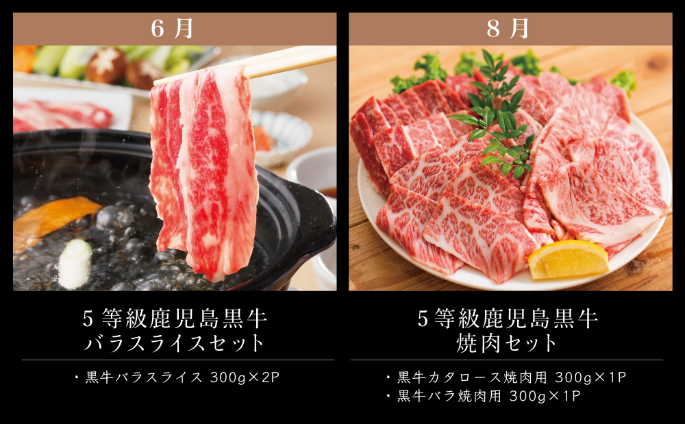 【JA食肉かごしま】鹿児島黒牛 定期便(全6回) かごしまブランド 黒毛和牛 和牛 牛肉 お肉 霜降り 赤身 ステーキ 焼肉 焼き肉 バーベキュー BBQ すき焼き しゃぶしゃぶ 食べ比べ 定期便 J