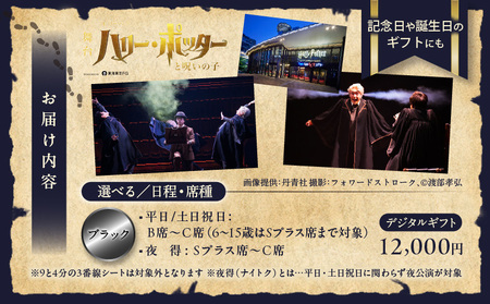 舞台『ハリー・ポッターと呪いの子』デジタルギフト ブラック:12,000円分