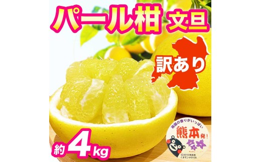先行予約 訳あり パール柑 文旦 約4kg 【2027年2月上旬～2027年3月下旬発送予定】文旦 ぶんたん 果物 フルーツ くだもの 柑橘 グレープフルーツ 国産 熊本 熊本県 九州 産地直送 わけあり ワケアリ 日本フルーツ