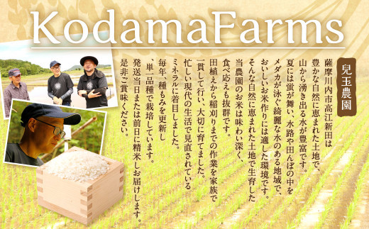 【奇数月6回定期便】【KODAMAFARMS】ひのひかり 5kg（計30kg）