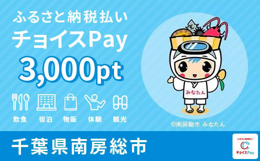 
宿泊・食事・観光・遊びに使える！南房総市 チョイスPay 3,000ポイント【会員限定のお礼の品】
