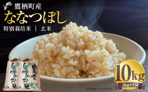 【令和7年産】 ななつぼし （玄米） 5kg×2袋 北海道 鷹栖町 たかすタロファーム 米 コメ こめ ご飯 玄米 お米 ゆめぴりか コメ 玄米