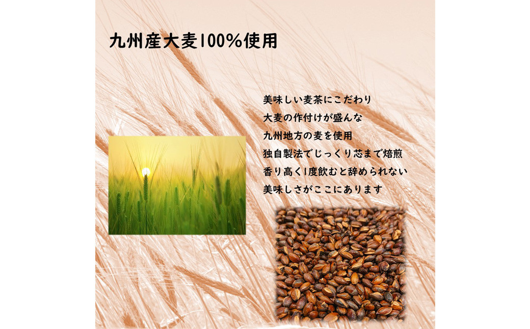 【柳川のお米】 ヒノヒカリ 10kg と 麦茶 16P セット 白米 お茶 パック