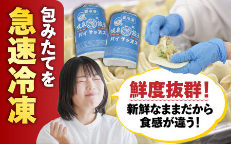 岐阜餃子64個入り（パイチャオズ） ぎょうざ 冷凍餃子 お取り寄せ 岐阜市/MABUCHIKOGYO[ANEY001]