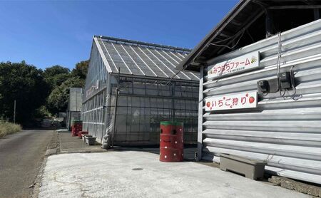 2月21日（土）旬のいちごが食べ放題！摘みたていちごで楽しむかんたん手作りスイーツ体験 1名様分 いちご狩り いちご スイーツ 体験 千葉あそび 千葉市