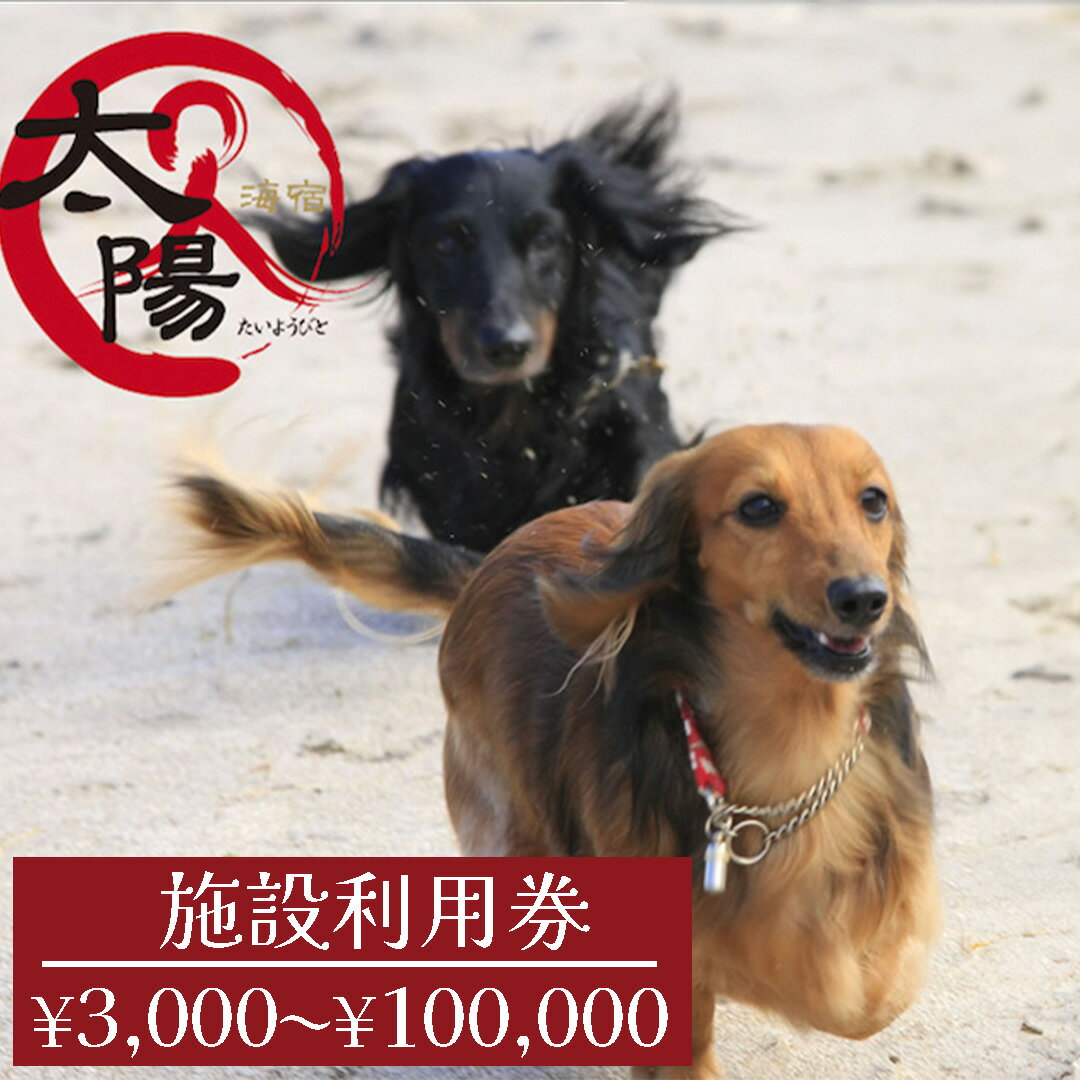 【ふるさと納税】愛犬と癒しのアジアンリゾート 海宿 太陽人　施設利用券3枚　伊豆 宿泊 旅行 観光 宿泊券 施設利用券 宿 南伊豆 静岡 伊豆 宿泊 旅行 観光 宿泊券 宿 温泉 南伊豆 静岡 クーポン 犬 小型犬 中型犬 大型犬 ペット同伴 ペットと泊まれる