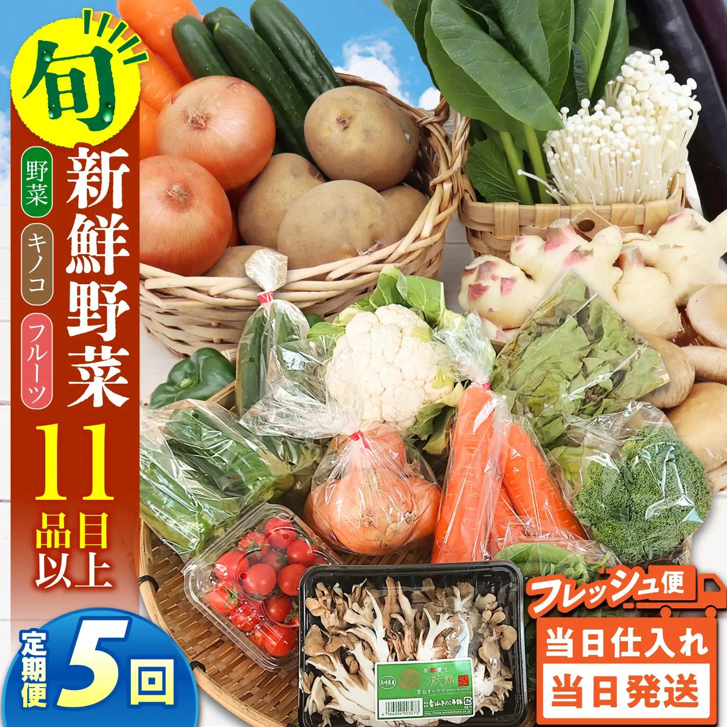 【毎月コース】野菜 キノコ 果物 11品目 詰め合わせ 5回 定期便  / 南島原市 / 吉岡青果[SCZ032]