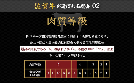 佐賀牛切り落とし 1kg (500g×2パック)