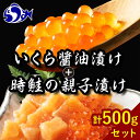 北海道 知床羅臼産 時鮭（ときしらず）の親子漬け・醤油いくらセット（計500g）いくら 醤油漬け 魚 海産物 魚介類 魚介