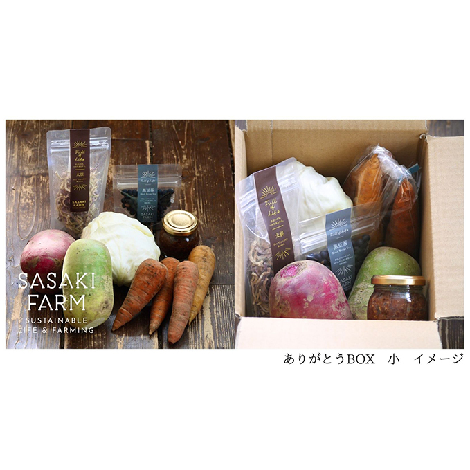 〈自然栽培〉佐々木ファーム　旬の野菜詰め合わせ　～ありがとうBOX 2024・小～　やさい　直送　北海道　洞爺湖町_イメージ2