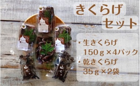 1799R_【希少/申込9月15日まで】きくらげセット（生きくらげ150g×4パック・乾きくらげ35g×2袋）
