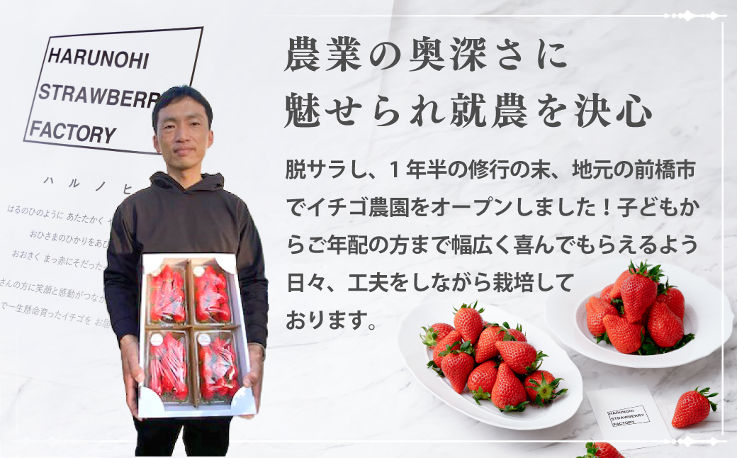 大粒完熟　群馬県産いちご「やよいひめ」400g×2 計800g｜コク 甘み 朝採れ やよいひめ 大粒 甘み 酸味 バランス 贈答用 新鮮 完熟 いちご 旬 苺 ストロベリー 産地直送 果汁 甘い あま