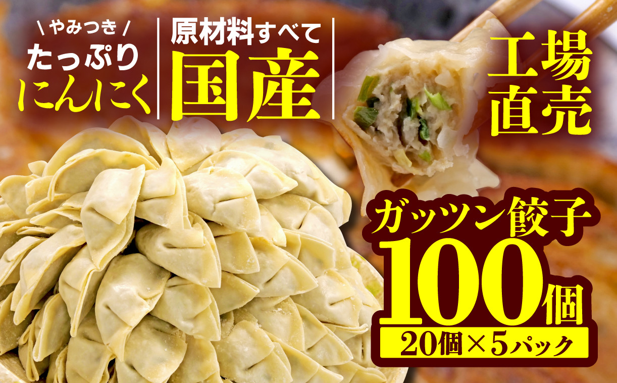 
                  餃子 にんにく 100個 20個 5パック ジューシー 冷凍 食品 小分け ガッツン餃子 松福 国産 豚肉 おつまみ 静岡県 沼津市
                