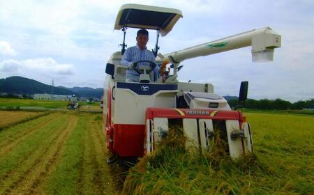 特別栽培米 コシヒカリ 「極」 10kg (5kg×2袋) 令和7年産 一等米 こしひかり 新潟県認証 精米 アグリ巧房【024S027】