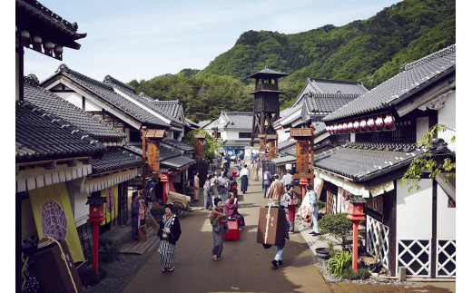 【江戸ワンダーランド日光江戸村】 殿様・姫様変身体験（ペアご招待券付き）