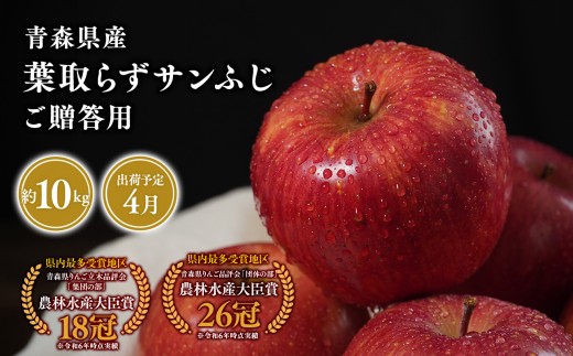 2027年4月発送　贈答用葉とらずサンふじ10kg【青森県 平川市 そと川りんご園】