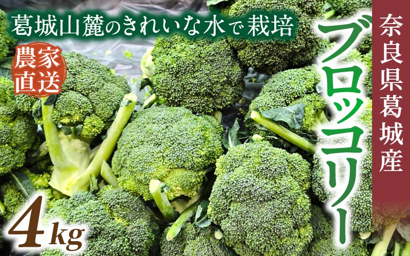 
                  奈良県葛城産 ブロッコリー 約4kg 【2025年11月上旬～5月下旬順次発送】／ スマイル葛城農業 大和野菜  ブロッコリー 農家直送 産直 新鮮 旬 名産 健康 美容 栄養 奈良県 葛城市【smlk069】
                