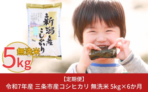 新米 先行予約 [定期便5kg×6か月] 無洗米 新潟県三条市産コシヒカリ 計30kg 令和7年産 新米 こしひかり 6か月連続でお届け [株式会社白熊]【041S007】