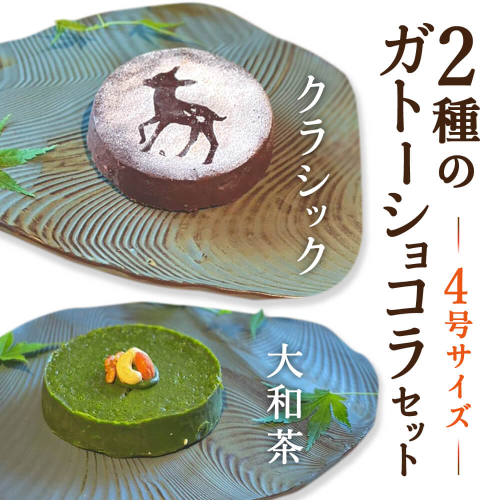 【ふるさと納税】 2種のガトーショコラセット（大和茶・クラシック）　ライフフード株式会社 　奈良市 なら