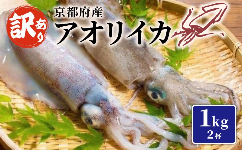 
                  【京都府産 アオリイカ】約1kg 2杯（訳あり イカ いか 国産 烏賊 冷凍 海鮮 地物 イカ刺身 さしみ 刺身 刺し身 刺身用 天ぷら 煮付け 塩焼き イカ丼 焼きイカ イカリング イカフライ イカ天 いかめし イカめし おつまみ 魚介類 魚介 魚 和食 あおりいか わけあり 訳アリ 舞鶴 京都）
                