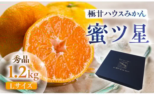 ≪先行予約≫ 濃厚ハウスみかん『蜜ツ星』秀品 1.2kg（Ｌサイズ10玉）　マルカワ園芸