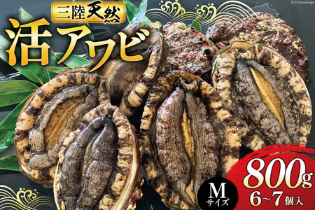 【期間限定発送】 海鮮 魚介 三陸 天然 活 アワビ Mサイズ 800g(6～7個入) [マルヤ五洋水産 宮城県 南三陸町 30al0010]