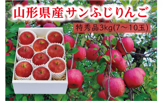 《先行予約 2026年度発送》【山形県産】サンふじりんご特秀品3kg  りんご リンゴ 林檎 デザート フルーツ 果物 くだもの 果実 食品 山形県 FSY-2973