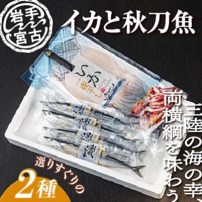 ふるさと納税 宮古市 いか一夜干し1p・潮風さんま4本 2種セット