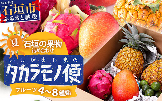 《2026年夏に順次発送予定》石垣島の夏「果物」詰め合わせ～夏のタカラモノ果物便～【 産地直送 沖縄 石垣 石垣島 くだもの トロピカルフルーツ 果物 南国 フルーツ 詰め合わせ フルーツ便 】SH-