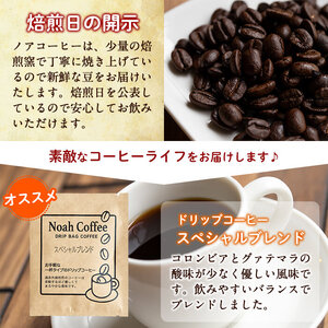 A-163 珈琲羊羹(200g×2本)＆ドリップバック8種(各10g)セット【ノア・コーヒー】