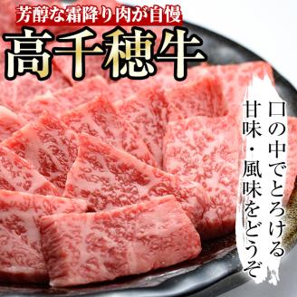 高千穂牛 焼き肉セット(ロース・カルビ各250g) 国産 宮崎県産 宮崎牛 牛肉 焼肉 ロース カルビ 霜降り A4 和牛 ブランド牛【MT010】【JAみやざき 高千穂牛ミートセンター】