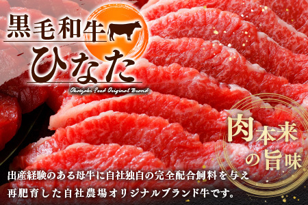 ブランド牛「黒毛和牛ひなた」モモスライス500g【B385】