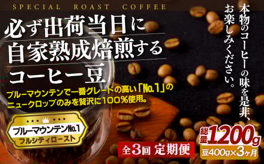 E272z 【3回定期便】必ず出荷日に自家熟成焙煎 ブルーマウンテンNo.1豆(400g) コーヒー豆【SASEBO Coffee TOMINAGA】人気 新鮮 挽きたて 高級コーヒー 本格