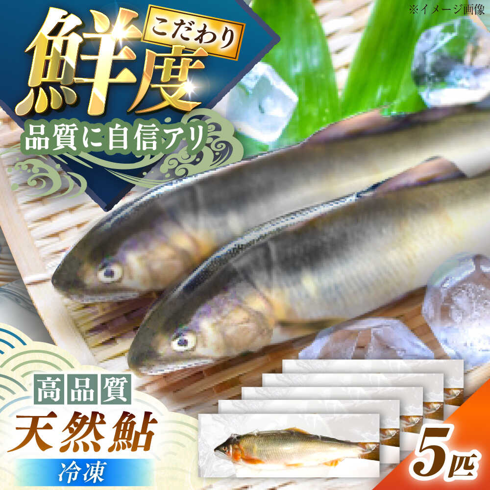 【ふるさと納税】＜冷凍＞天然あゆ 19～22cm 5匹入り（約500g） / あゆ 天然 鮎 冷凍 / 恵那市 / 恵那物産館[AUFS009]
