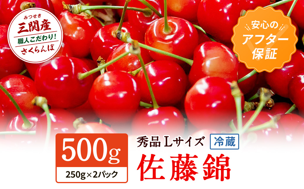 令和9年産 先行予約 秋田県三関（みつせき）産  佐藤錦 500g 秀品 L 冷蔵【三関果樹研究会】[B4-15101]