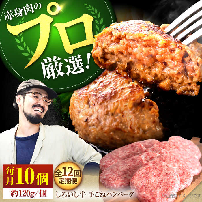 【ふるさと納税】【肉の匠】【12回定期便】佐賀県産しろいし牛 ボリュームたっぷり手ごねハンバーグ 120g×10個【佐賀セントラル牧場】牛肉 ハンバーグ 惣菜 おかず 冷凍 定期便 3回 岩塩 100% 人気 おすすめ 佐賀県 白石町 [IAH059]