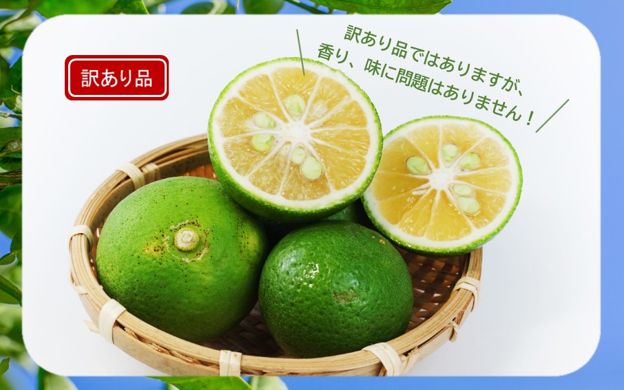 【訳あり】大分県産 露地かぼす 4kg_2612R-2