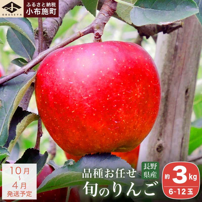 【ふるさと納税】 長野県産 旬のりんご 約3kg 6～12玉 ［小布施屋］ りんご 林檎 リンゴ 果物 フルーツ 信州産 特産 産地直送 産直 数量限定 お任せ お楽しみ 秋映 シナノスイート シナノゴールド シナノホッペ サンふじ 令和8年産 【2025年10月～2026年4月まで発送】