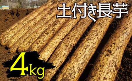 変色しない 土付き長芋（4kg）｜国産野菜 とろろご飯におすすめ！「マル庄」