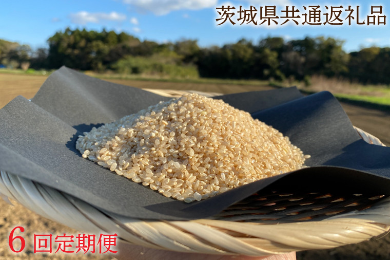 
【6ヶ月定期便】【できるだけ農薬を減らした】マキタ超こしひかり 玄米5kg×6回【茨城県共通返礼品・行方市産】【おいしい お米 マキタ 減農薬 安心 げんまい 鹿嶋市】（KBE-28）
